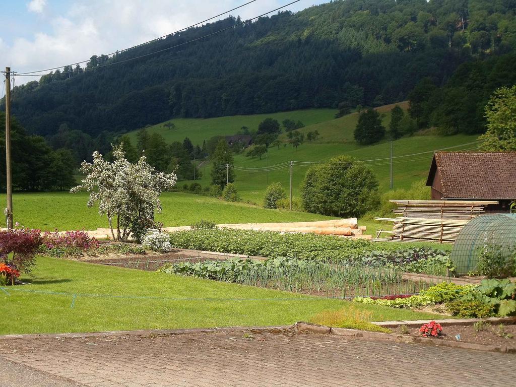 Apartments Zipperhof Лар Экстерьер фото